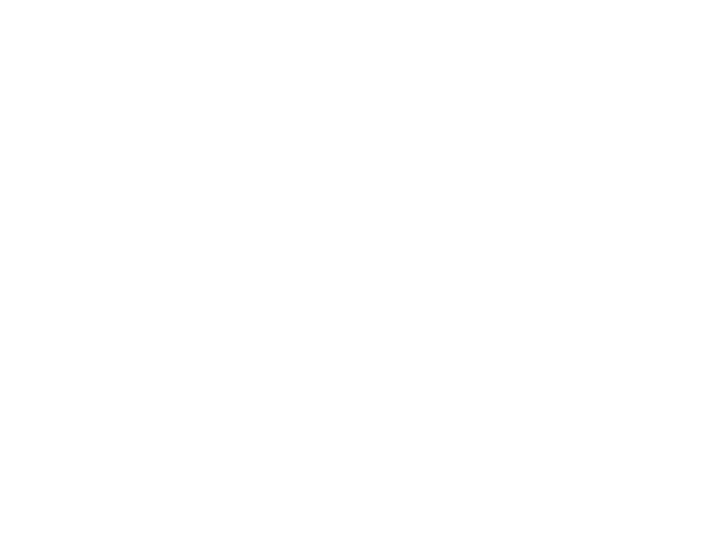 logo fibrovitta edited